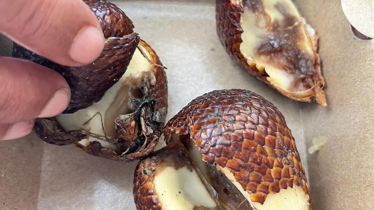 Menu MBG Sukabumi Dikeluhkan, Orang Tua Soroti Kualitas